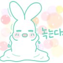 퍼피펍피 이미지