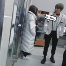 댕둘 이미지