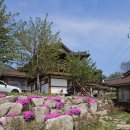 [경주 애견동반 숙소] 풀빌라까지 있는데 이가격? 가성비 갑 ‘혜윰한옥펜션’/하늘3
