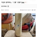 잘 작동하는 삼성 선풍기.jpg 이미지