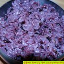 밥짓는마을 Daum카페