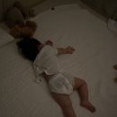 에코쿨잠 이미지