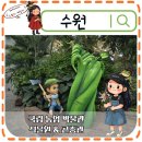 초록실내 | 수원 국립농업박물관 식물원 곤충관 아이와가볼만한 실내데이트 후기
