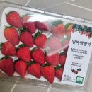 프랑팜 네이버블로그