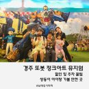 경주 쌍둥이 아기랑 또봇정크아트뮤지엄 다녀온 후기, 할인 주차 꿀팁, 아이랑 경주 가볼 만한 곳