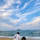 동해바다 이미지