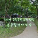 지리산 국립공원 노지 캠핑장 - 달궁 힐링야영장