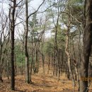 독산봉수지 이미지