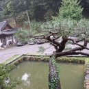 이디야남양주