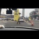 남이섬 진입로 자전거길 | [강원/춘천] 남이섬 애견동반 가능 (주차 꿀팁,티켓예매할인,식당,전기자전거 , 코스 총정리)