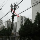 복사골건영아파트 이미지