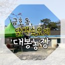 광주월산농장 | 광주맛집) 도심속 숨은 시골집 /닭백숙이 맛있는 금호동 '대봉농장'