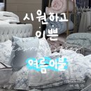 코오롱사 | 로라애슐리 냉감패드, 여름이불로 시원한 여름준비 완료