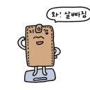 모모토스트 - 사천시 | 모모토스트