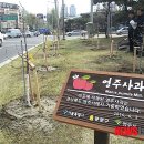 사과시험장 앞 이미지