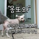 몽또와 이미지