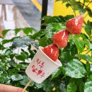 마루탕후루 이미지