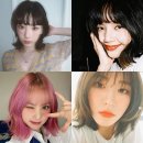 손헤어뉴스 이미지