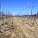 찬송농장 이미지