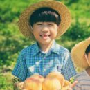 송동농장 이미지