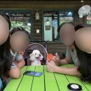 망구농원