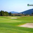 표선생각 | 제주 사이프러스cc 예약 겨울에도 생각나는 표선 골프장 후기