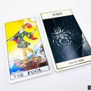 Spirit Untamed | 언테임드 스피릿 애니멀 오라클카드 : Untamed Spirit Animal Oracle ⓒ 인터타로