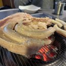 빨간꼼장어 이미지