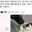 국수타임