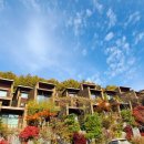 (주)포레스트바이오 이미지