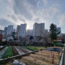 가촌서로 이미지