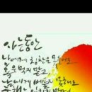 심는가발 이미지