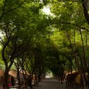 두레캠핑장 이미지