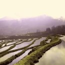 다섯번째이야기 이미지