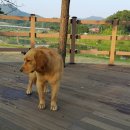 목도강변유원지 네이버블로그