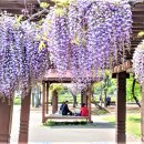 살맛나는세상 이미지