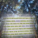 시민으로서 소박한 민주주의 찾기 | 넥서스 (유발 하라리) 책 후기·추천 리뷰·핵심 요약 <넥서스, 민주주의의 오류를 말하다>