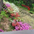 수림 펜션 이미지