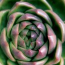 꿈의궁전 이미지