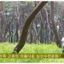 국선도(기체조, 단전호흡, 명상) 이미지