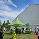 250802-03 펜타포트 20주년 따끈따끈 후기