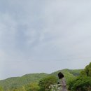 길곡천 네이버블로그