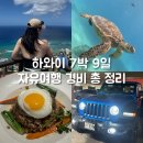 대도카서비스 | 하와이 여행 경비 7박9일 총 정리! 항공권·호텔·렌트카까지