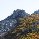 사광농장 이미지