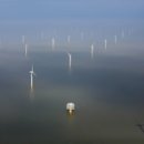 First Farm 이미지