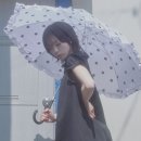 디테일 닷(Detail Dot) | 여름,가을철 예쁜 우산 추천