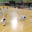 화랑 태권도 체육관 이미지