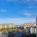 삼화공인중개사사무소 이미지