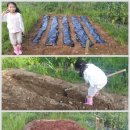 둔덕농장2 이미지