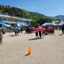 예곡초등학교 이미지